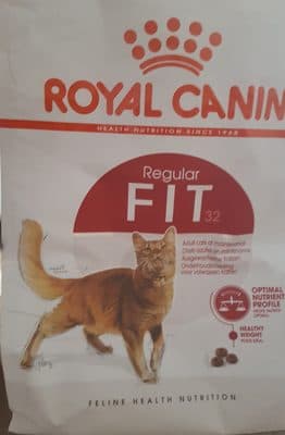 Regular FIT 32