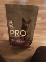 Cat Food