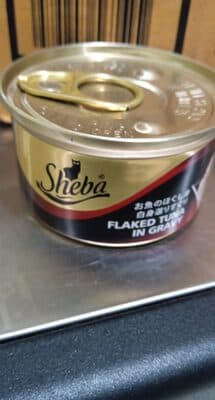 Flaked tuna in gravy