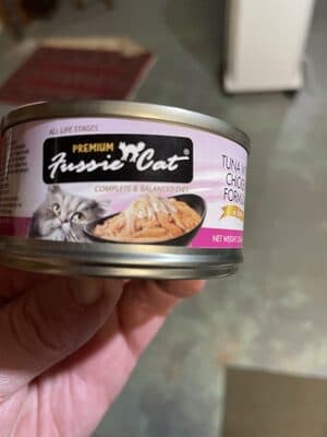 Fussy Cat