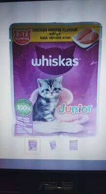 Junior