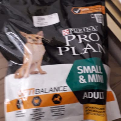 pro plan