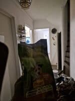 friskies