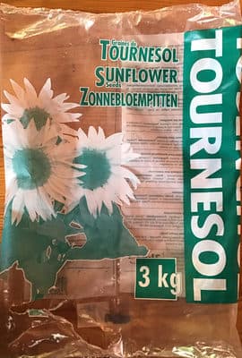Graines de tournesol