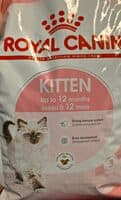 kitten 12mois