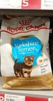 yorkshire puppy