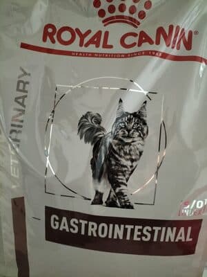 Crocchette per gatti - gastrointestinal