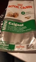 Mini exigent small dog