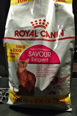 feline preference savour exigent