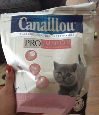 Croquettes Chaton