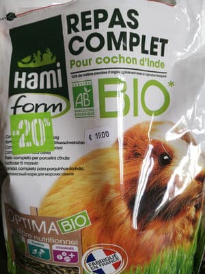 Hami form - cochon d'inde
