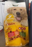 Companino Vitalive Medium