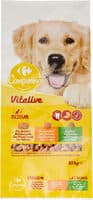 Companino Vitalive Medium