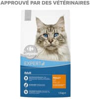 Companino expert adult