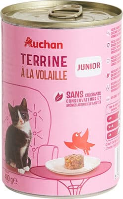 Terrine à la volaille