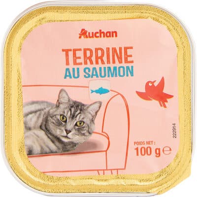 Terrine au saumon