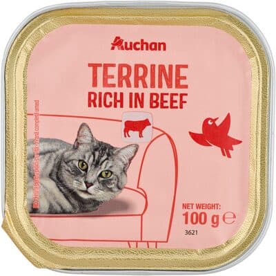 Terrine riche en boeuf
