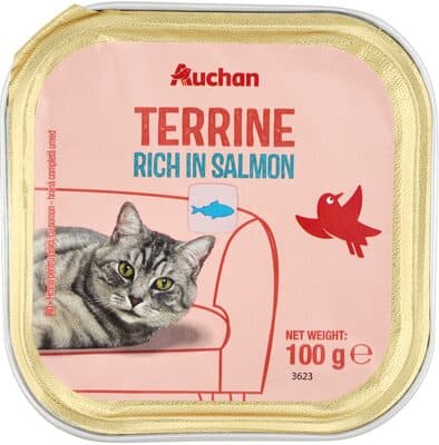 Terrine riche en saumon