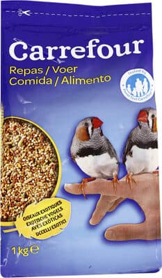 Oiseaux exotiques