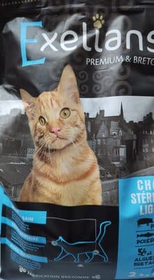 croquettes chat