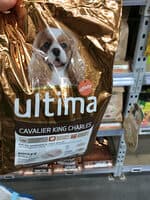 Ultima