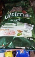 Última Affinity adulte gatos