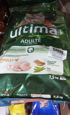 Última Affinity adulte gatos