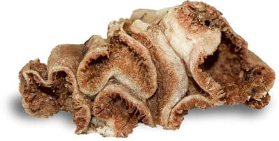 Friandises récompense pour chien - Panse de mouton