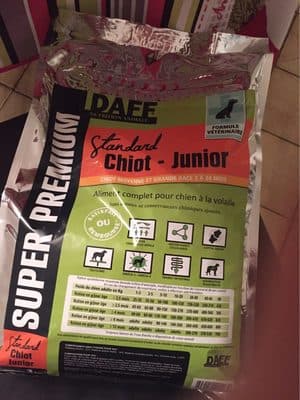 Standard chiot-junior