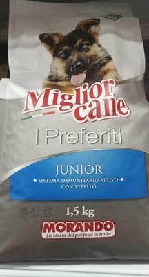 Miglior cane junior