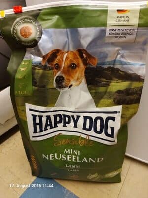 Happy dog sensibel