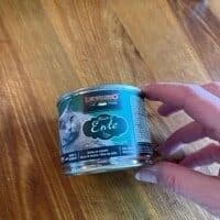 Ente