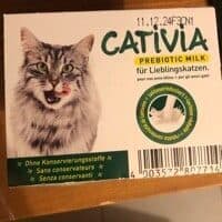 Katzenmilch