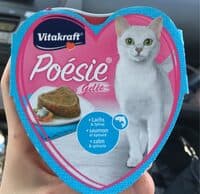 Poésie gelée