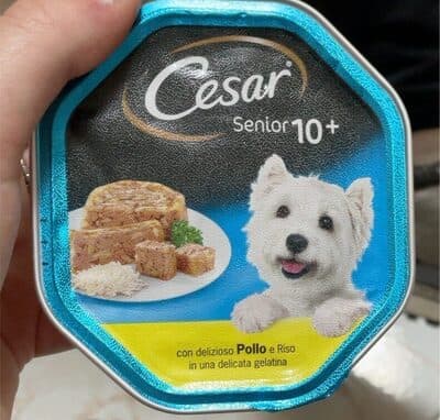 Carne cani