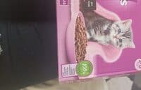 Whiskas Junior