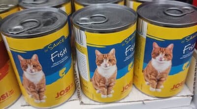 Fish in Sauce
