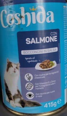 Bocconcini in salsa con salmone