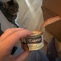 Katzenfutter Pastete Kaninchen