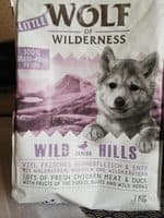 Wolf of wilderness