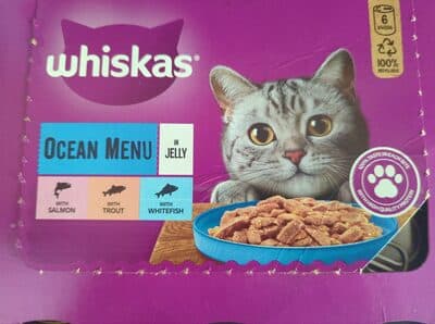 Ocean Menu in Jelly