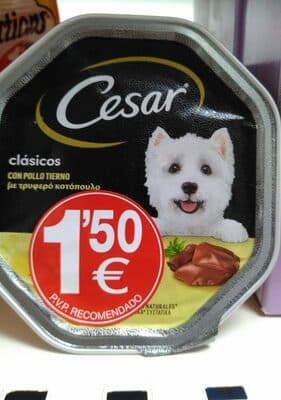 alimento humedo perros