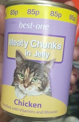 Meat chunks in jelly