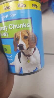 Meat chunks in jelly