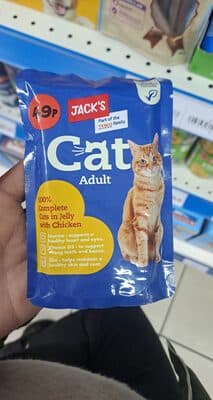 Cat adult