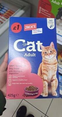 Cat adult