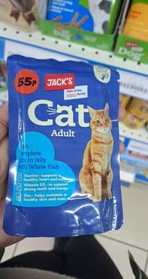 Cat adult