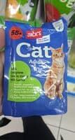 Cat adult
