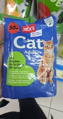 Cat adult