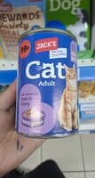 Cat adult
